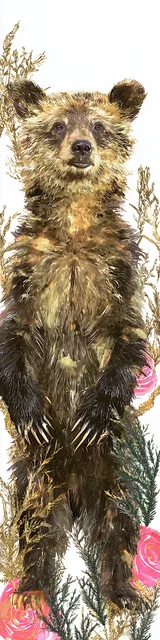 Free bear bookmarks for adults featuring a standing scraggly brown bear